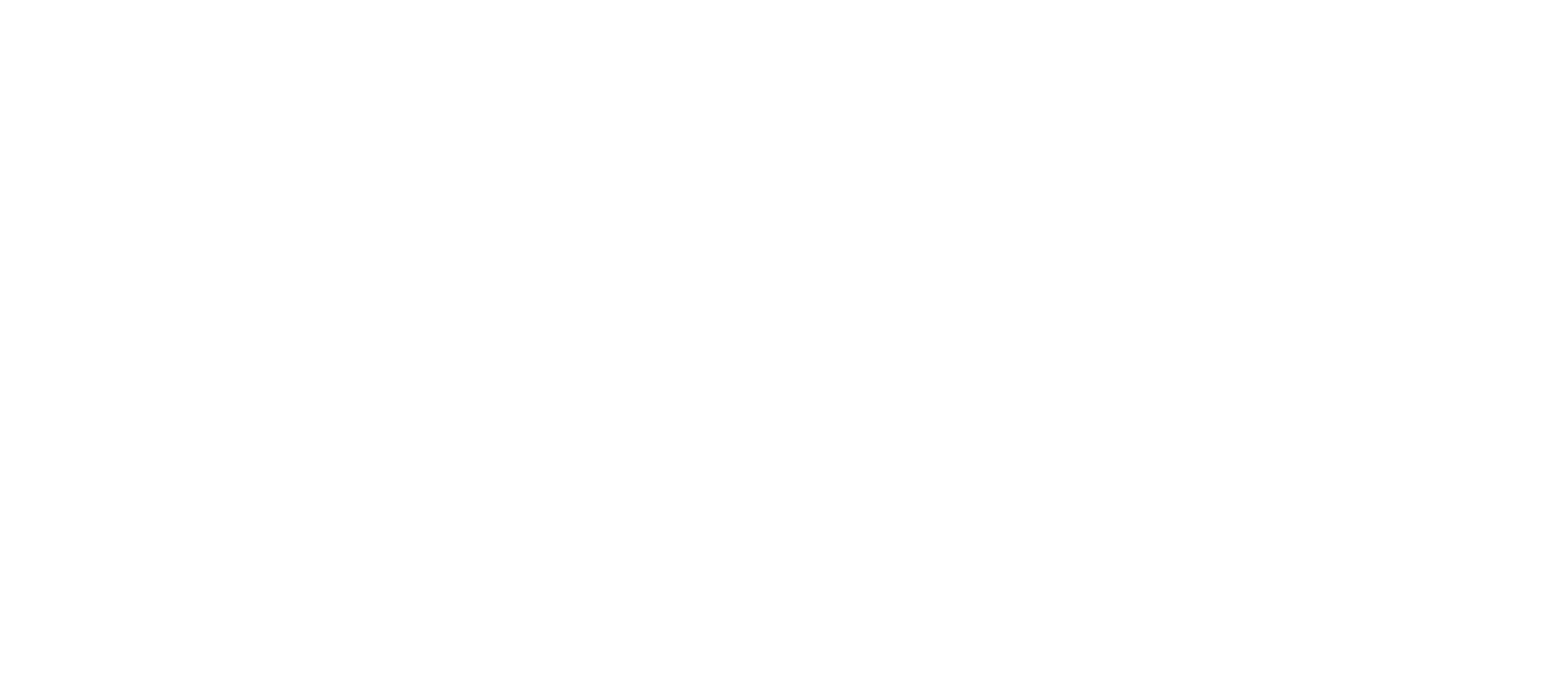BRAVE SHOES